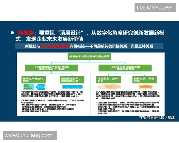 政策引导下的经济转型与创新发展路径探讨：实现高质量增长的战略选择