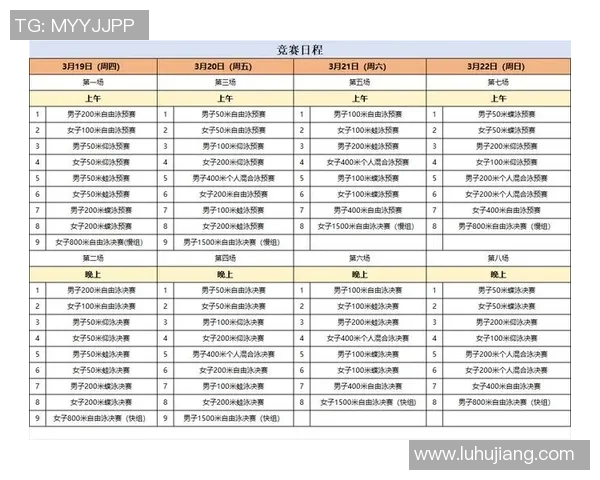 游泳比赛规则详解：从起跳到终点的每个细节解析