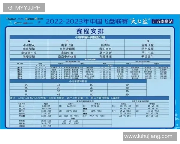 飞盘盛宴：深入解析南京飞盘队的实力与魅力
